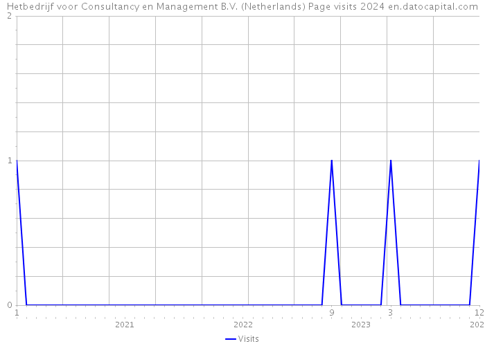 Hetbedrijf voor Consultancy en Management B.V. (Netherlands) Page visits 2024 
