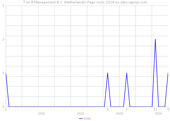 T en B Management B.V. (Netherlands) Page visits 2024 
