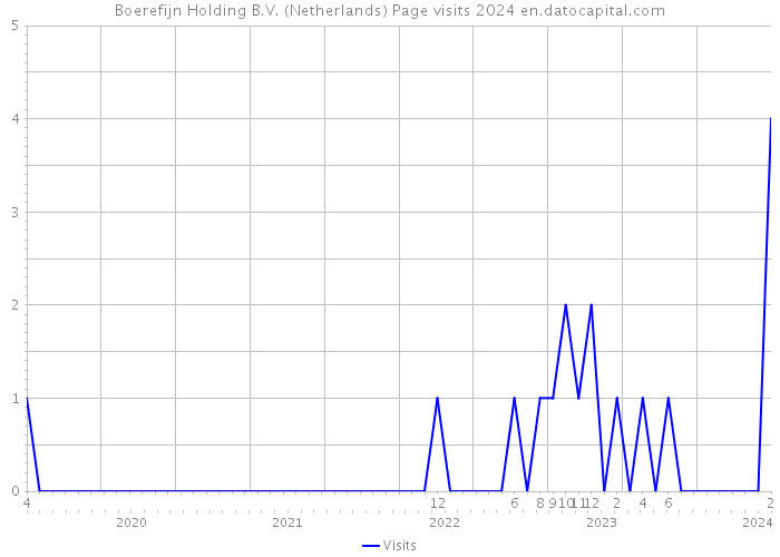 Boerefijn Holding B.V. (Netherlands) Page visits 2024 