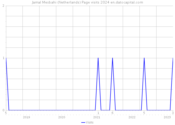 Jamal Mesbahi (Netherlands) Page visits 2024 