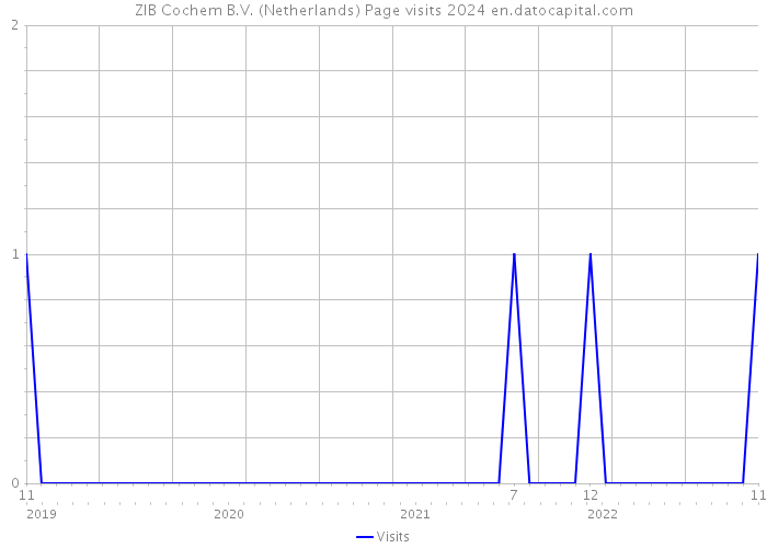 ZIB Cochem B.V. (Netherlands) Page visits 2024 