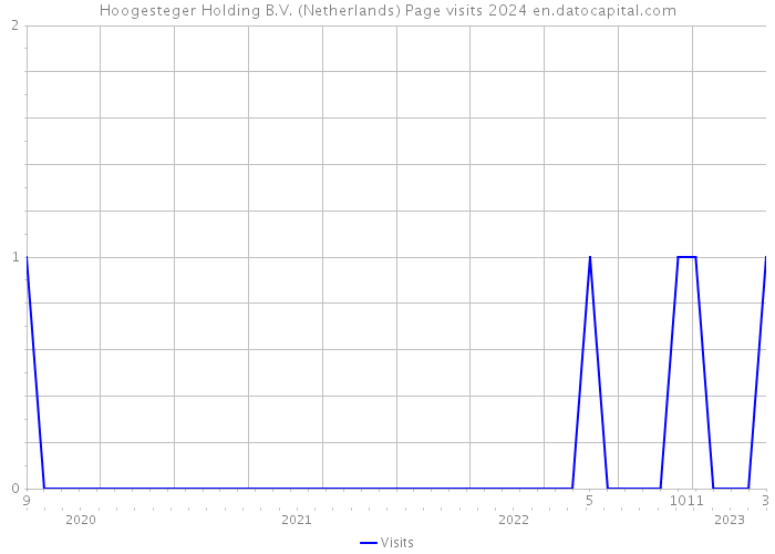 Hoogesteger Holding B.V. (Netherlands) Page visits 2024 