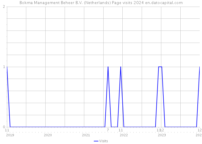 Bokma Management Beheer B.V. (Netherlands) Page visits 2024 