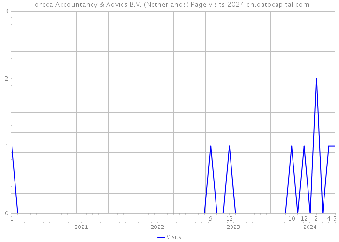 Horeca Accountancy & Advies B.V. (Netherlands) Page visits 2024 