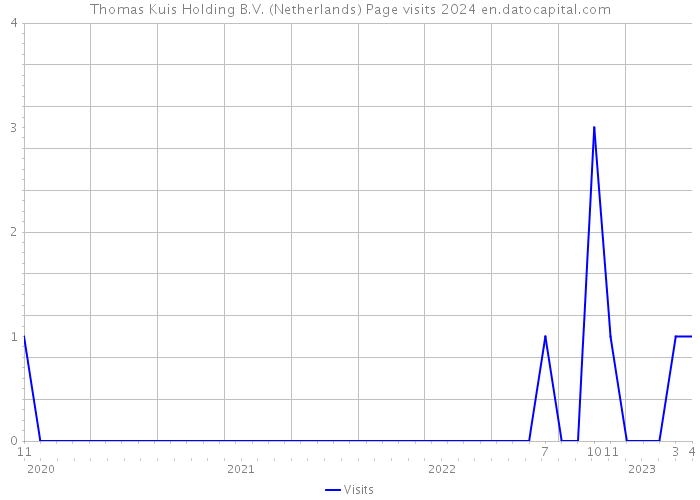 Thomas Kuis Holding B.V. (Netherlands) Page visits 2024 