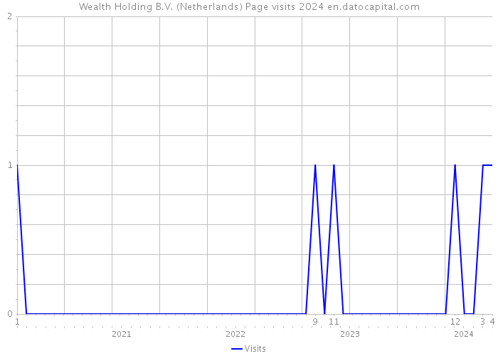 Wealth Holding B.V. (Netherlands) Page visits 2024 