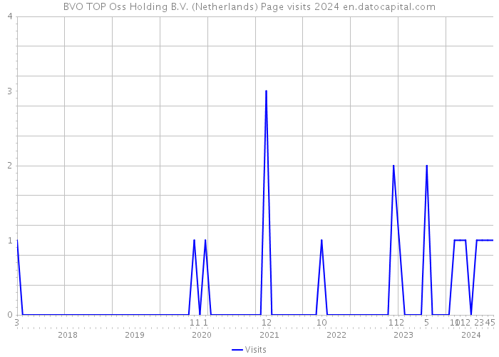 BVO TOP Oss Holding B.V. (Netherlands) Page visits 2024 