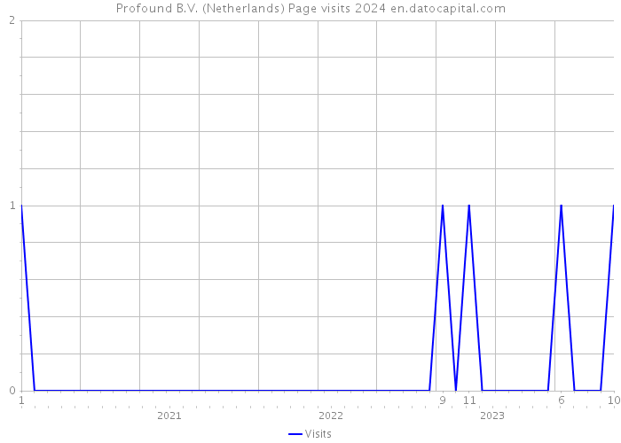 Profound B.V. (Netherlands) Page visits 2024 