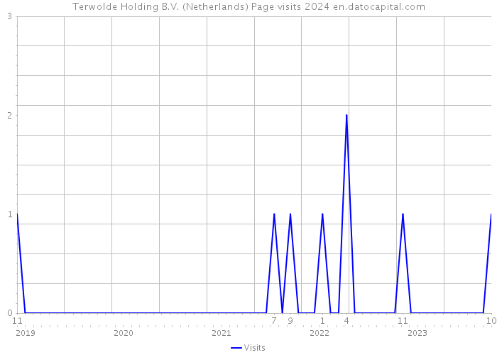 Terwolde Holding B.V. (Netherlands) Page visits 2024 