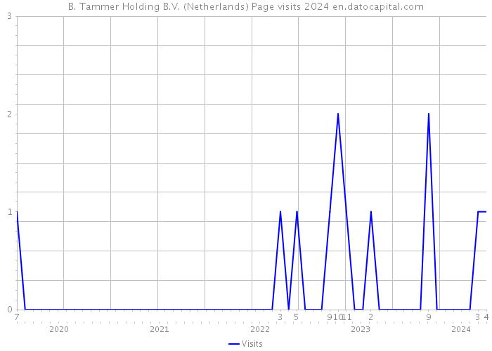 B. Tammer Holding B.V. (Netherlands) Page visits 2024 