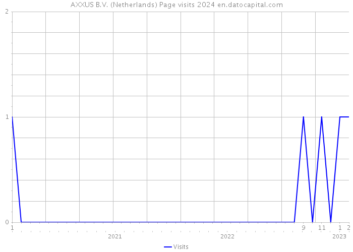 AXXUS B.V. (Netherlands) Page visits 2024 