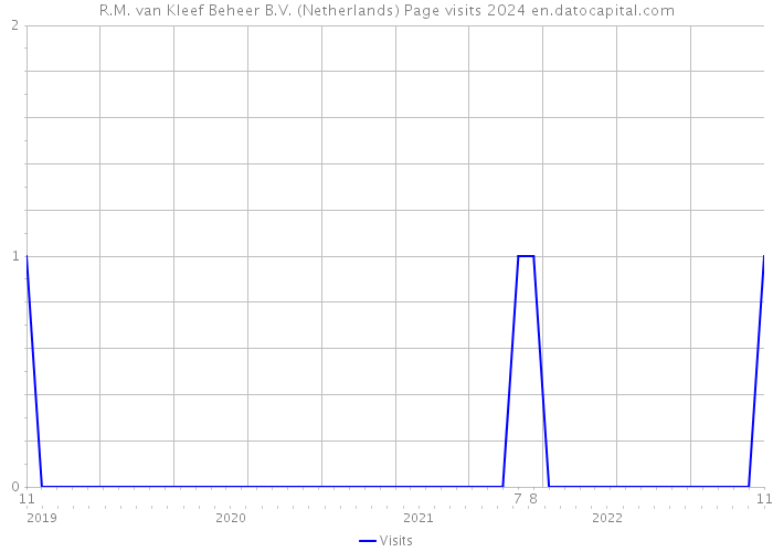 R.M. van Kleef Beheer B.V. (Netherlands) Page visits 2024 