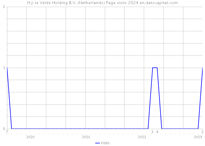 H.J. te Velde Holding B.V. (Netherlands) Page visits 2024 