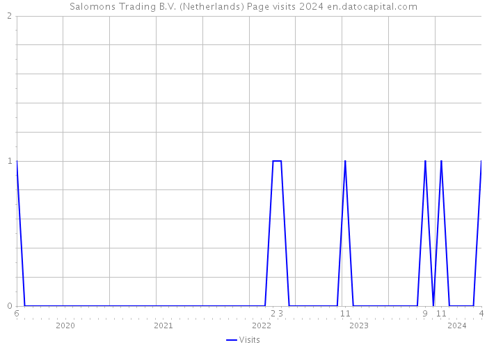 Salomons Trading B.V. (Netherlands) Page visits 2024 