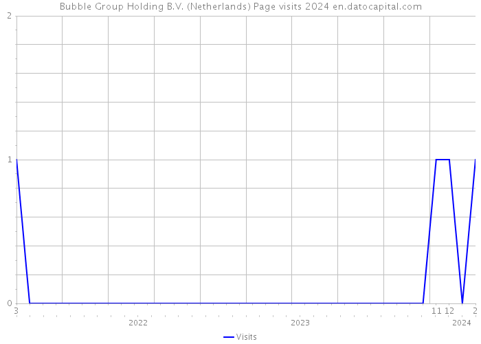Bubble Group Holding B.V. (Netherlands) Page visits 2024 