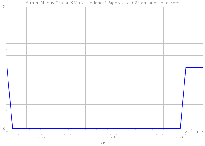 Aurum Montis Capital B.V. (Netherlands) Page visits 2024 