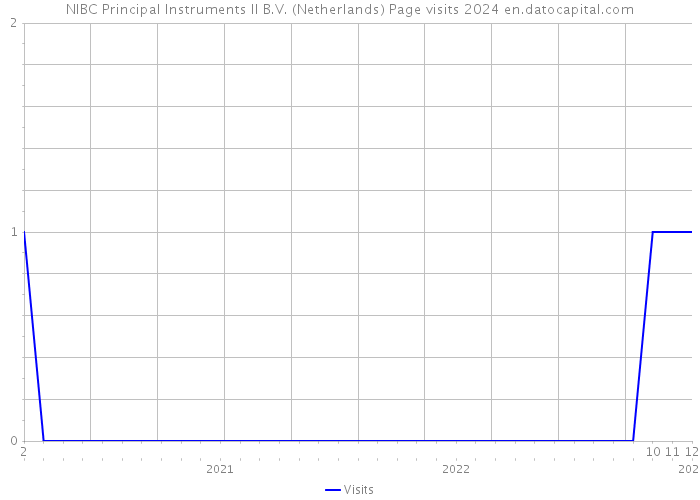 NIBC Principal Instruments II B.V. (Netherlands) Page visits 2024 