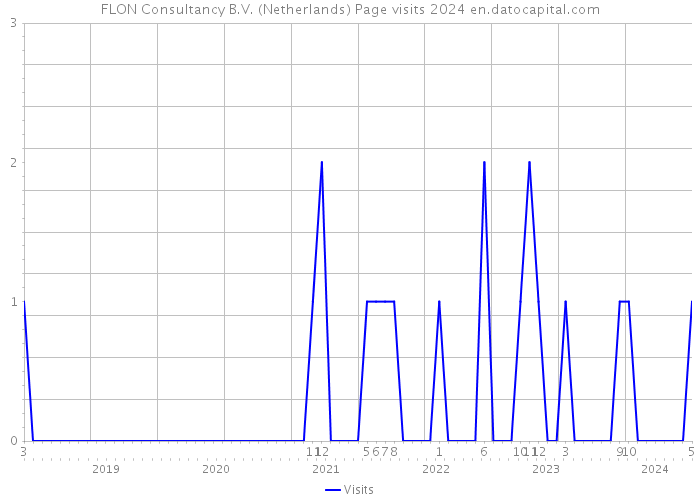 FLON Consultancy B.V. (Netherlands) Page visits 2024 