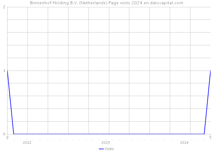 Binnenhof Holding B.V. (Netherlands) Page visits 2024 
