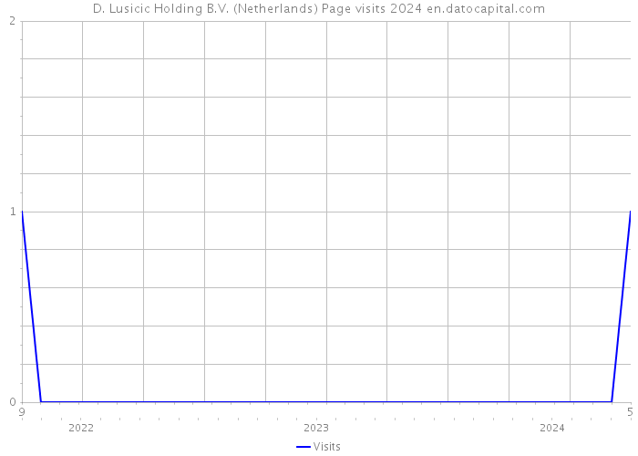 D. Lusicic Holding B.V. (Netherlands) Page visits 2024 