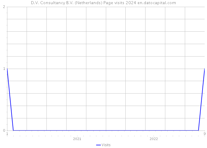 D.V. Consultancy B.V. (Netherlands) Page visits 2024 