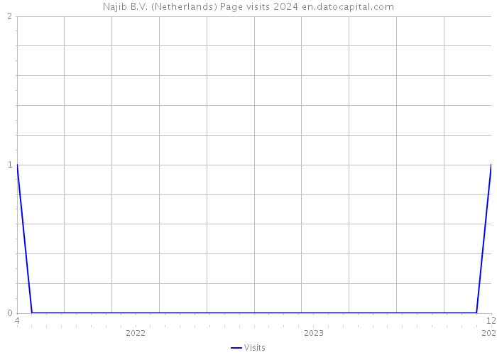 Najib B.V. (Netherlands) Page visits 2024 