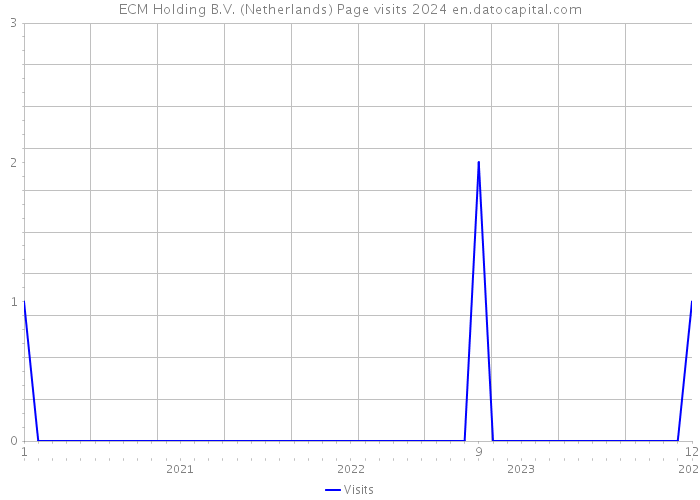 ECM Holding B.V. (Netherlands) Page visits 2024 