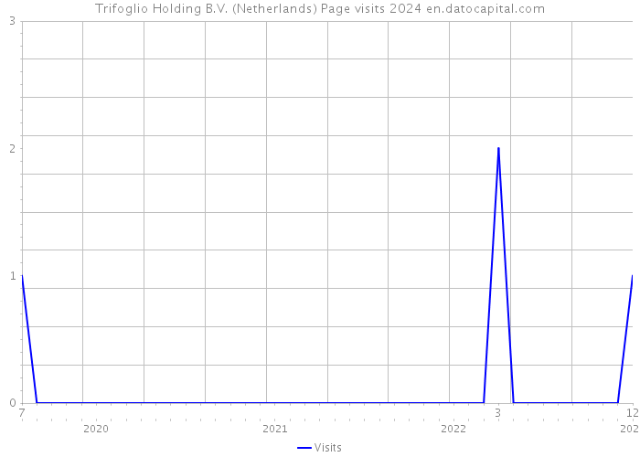 Trifoglio Holding B.V. (Netherlands) Page visits 2024 