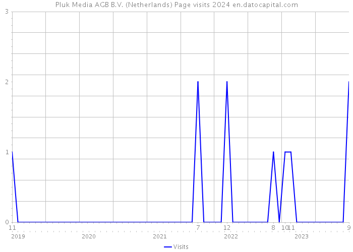 Pluk Media AGB B.V. (Netherlands) Page visits 2024 