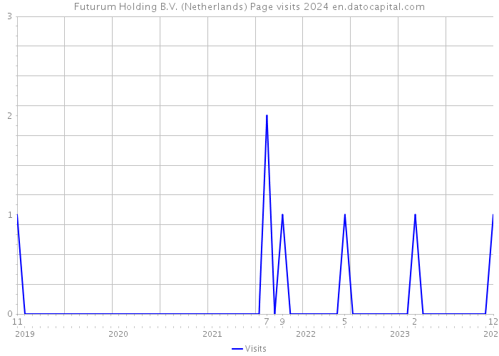 Futurum Holding B.V. (Netherlands) Page visits 2024 