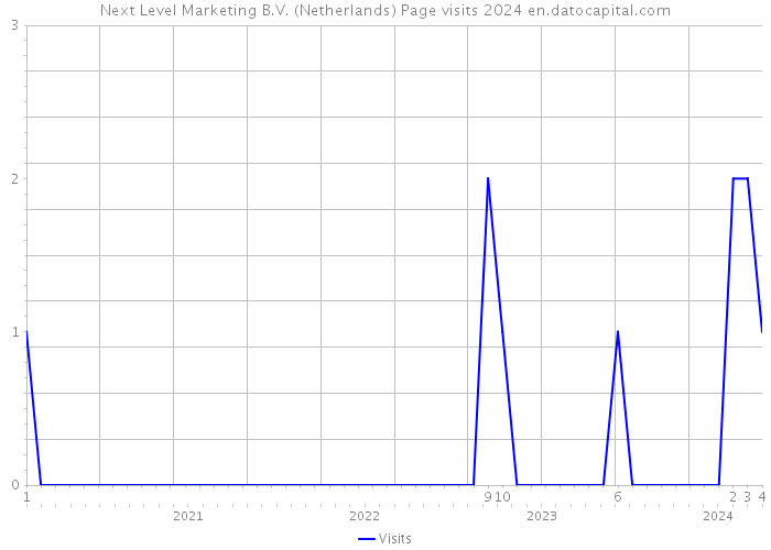 Next Level Marketing B.V. (Netherlands) Page visits 2024 