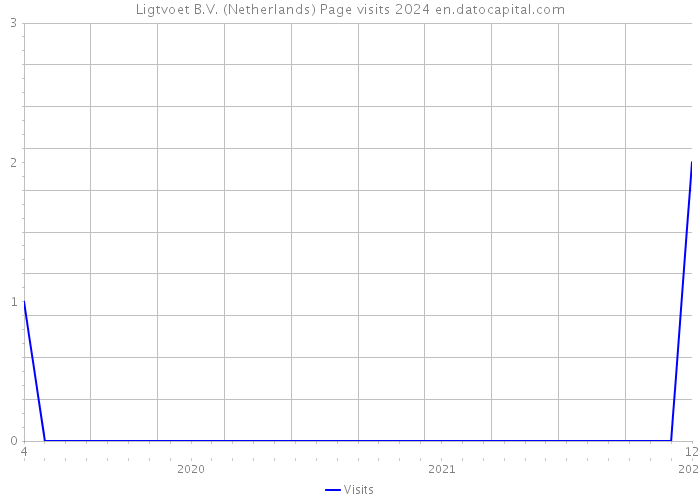 Ligtvoet B.V. (Netherlands) Page visits 2024 