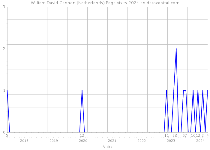 William David Gannon (Netherlands) Page visits 2024 