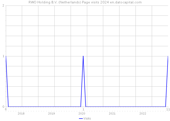 RWO Holding B.V. (Netherlands) Page visits 2024 