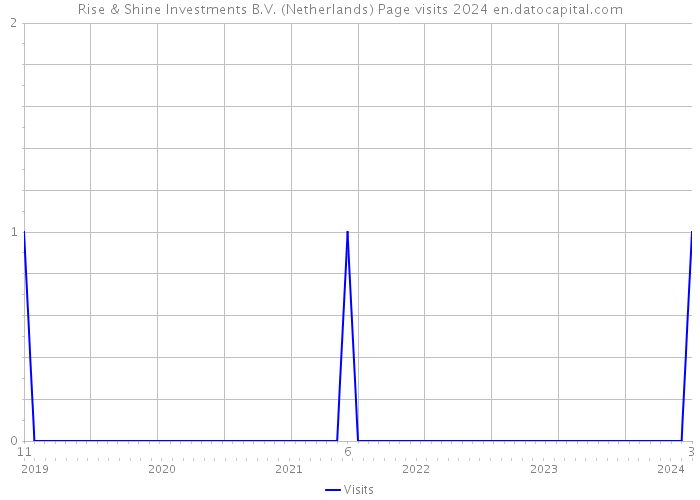 Rise & Shine Investments B.V. (Netherlands) Page visits 2024 