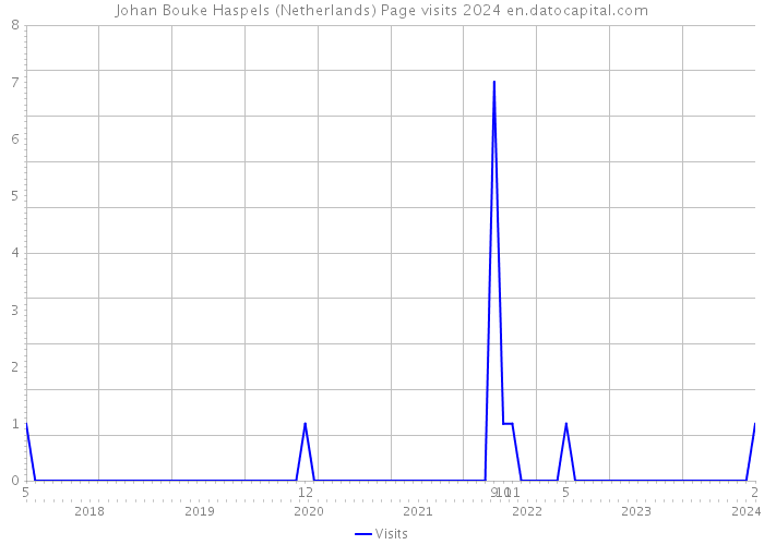 Johan Bouke Haspels (Netherlands) Page visits 2024 