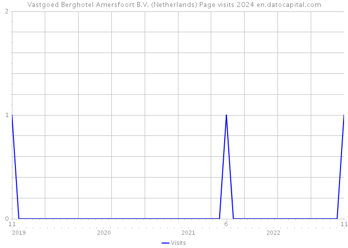 Vastgoed Berghotel Amersfoort B.V. (Netherlands) Page visits 2024 