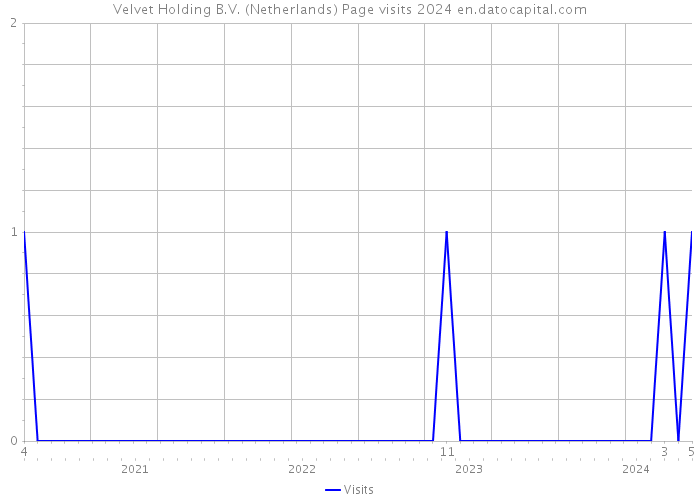 Velvet Holding B.V. (Netherlands) Page visits 2024 