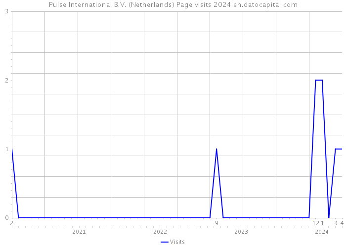 Pulse International B.V. (Netherlands) Page visits 2024 