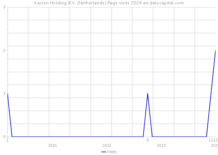 Kaizen Holding B.V. (Netherlands) Page visits 2024 