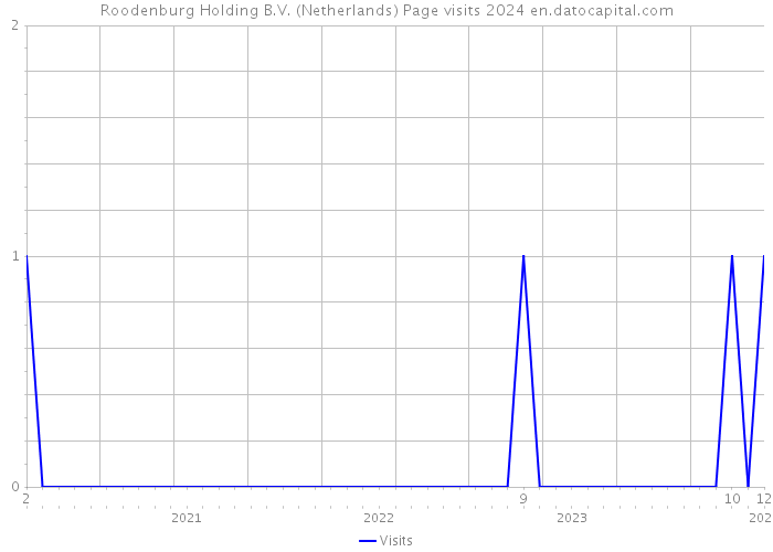 Roodenburg Holding B.V. (Netherlands) Page visits 2024 