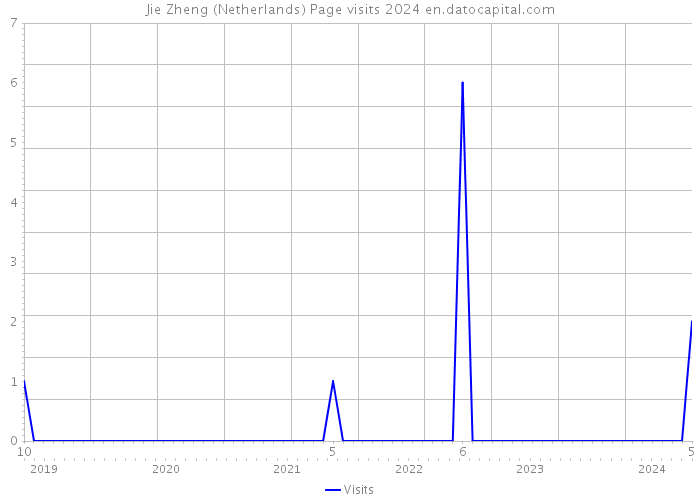 Jie Zheng (Netherlands) Page visits 2024 