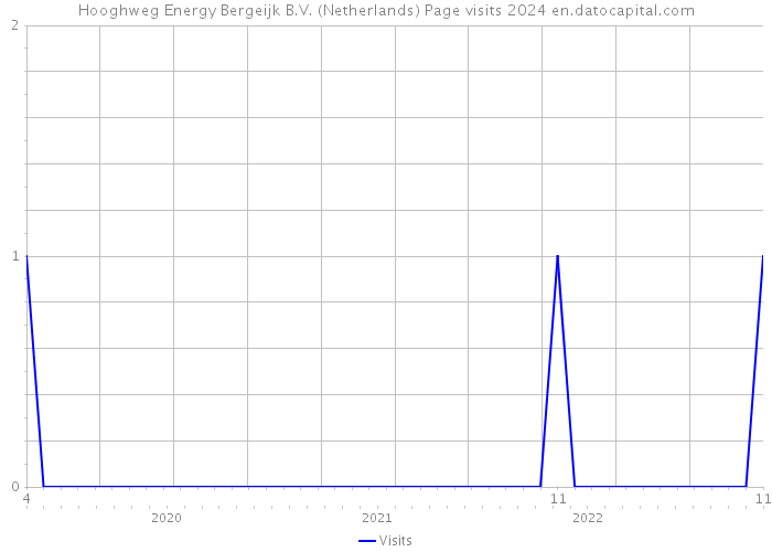 Hooghweg Energy Bergeijk B.V. (Netherlands) Page visits 2024 