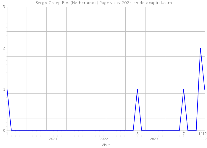 Bergo Groep B.V. (Netherlands) Page visits 2024 