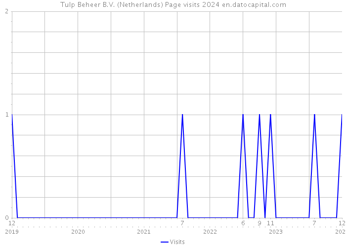 Tulp Beheer B.V. (Netherlands) Page visits 2024 
