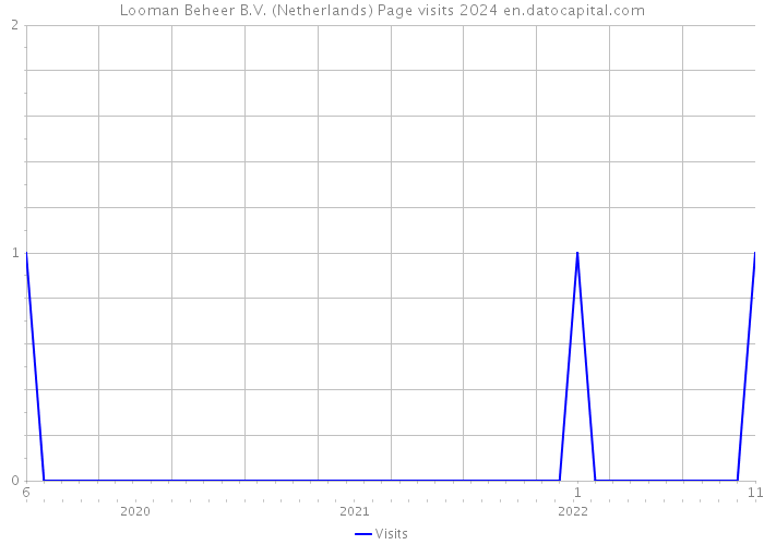 Looman Beheer B.V. (Netherlands) Page visits 2024 
