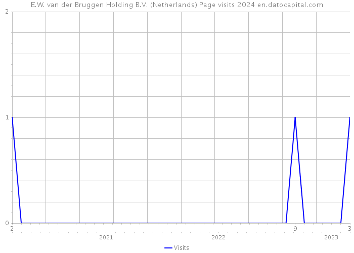 E.W. van der Bruggen Holding B.V. (Netherlands) Page visits 2024 