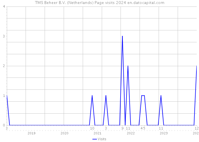 TMS Beheer B.V. (Netherlands) Page visits 2024 