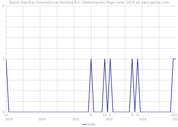 Dutch Starches International Holding B.V. (Netherlands) Page visits 2024 