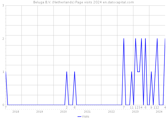 Beluga B.V. (Netherlands) Page visits 2024 
